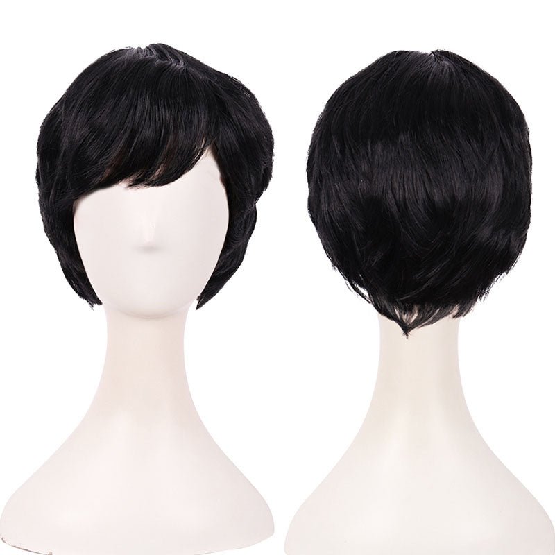 25cm Universal Short Cosplay Wigs - B - lemailwigs