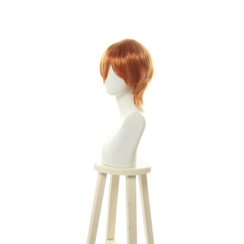 Fashion Men Hair Classic Short Anime Cosplay Wigs - lemailwigs
