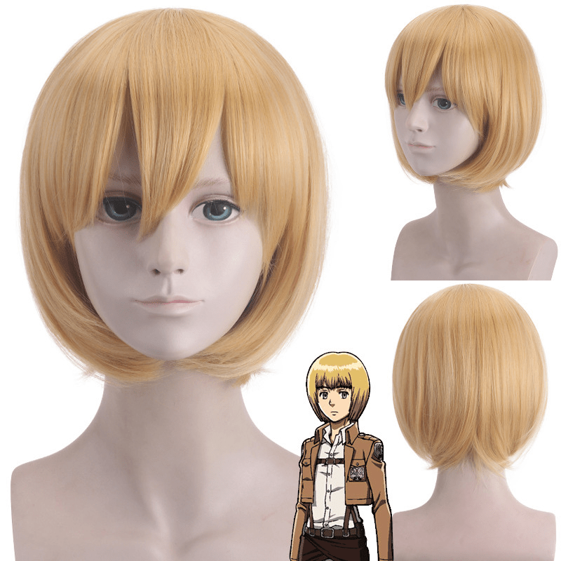 Lemailwig Attack on Titan Eren Mikasa Armin Levi Cosplay Wigs - lemailwigs