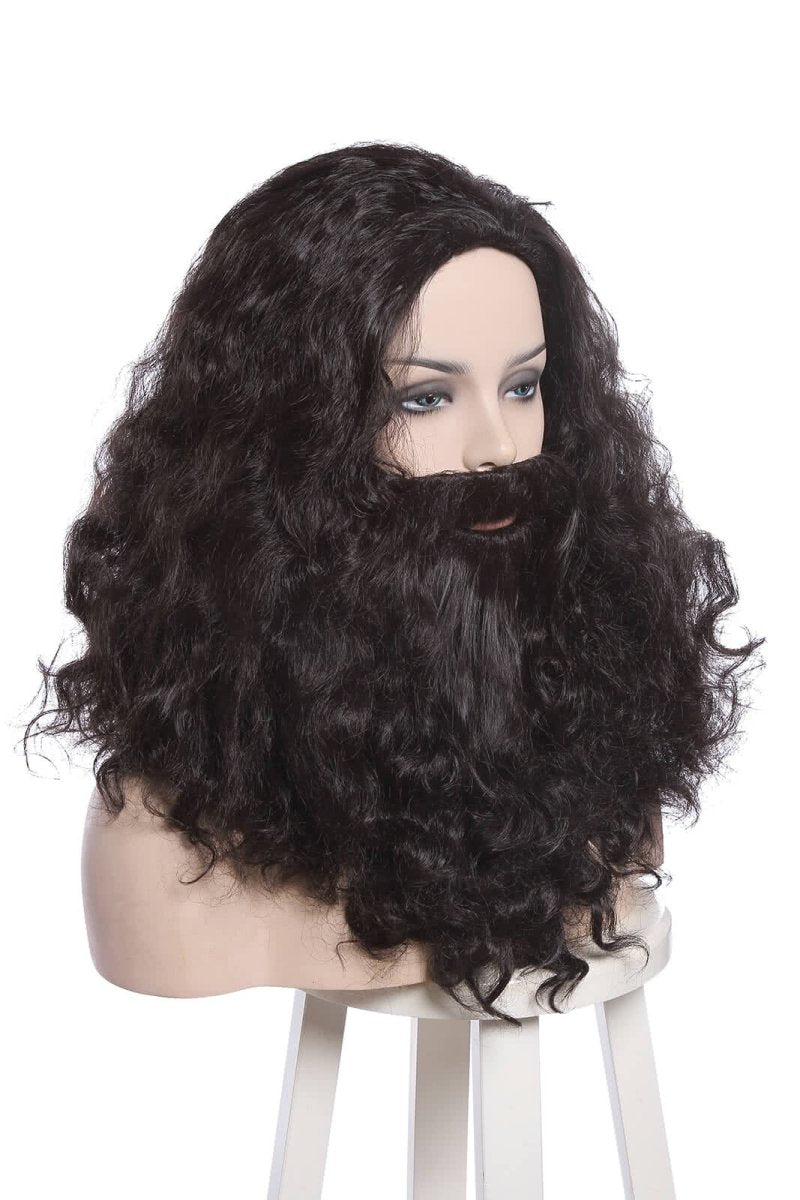 Rubeus Hagrid Black Curly Cosplay Wigs - lemailwigs
