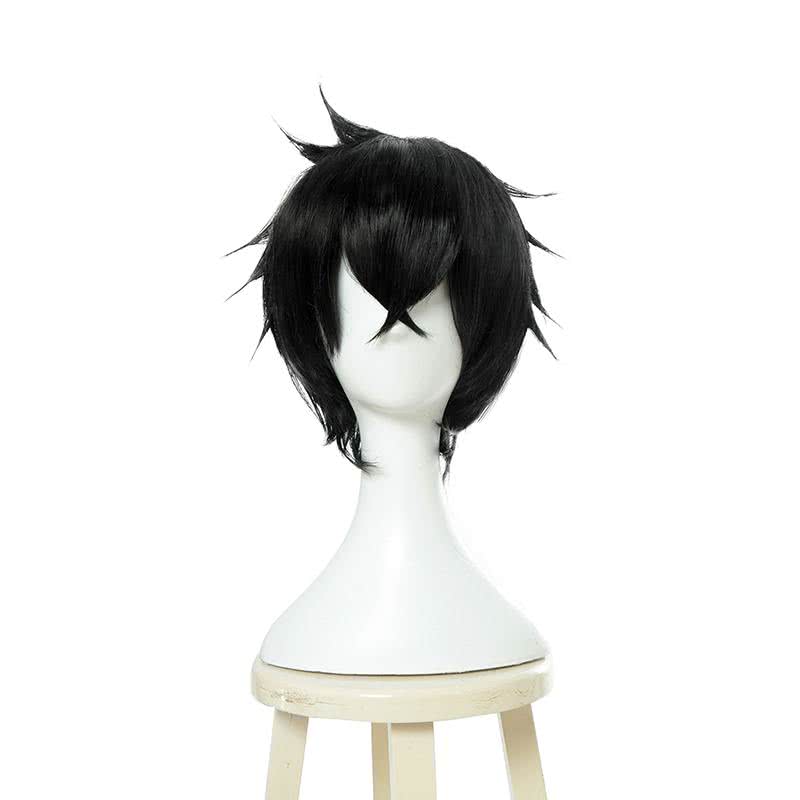 The Rising of the Shield Hero Naofumi Iwatani Short Straight Black Men Cosplay Wigs - lemailwigs