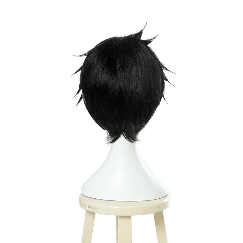 The Rising of the Shield Hero Naofumi Iwatani Short Straight Black Men Cosplay Wigs - lemailwigs