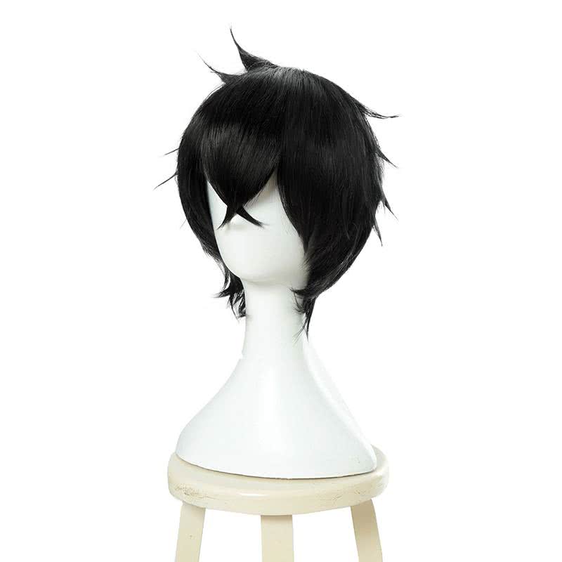 The Rising of the Shield Hero Naofumi Iwatani Short Straight Black Men Cosplay Wigs - lemailwigs