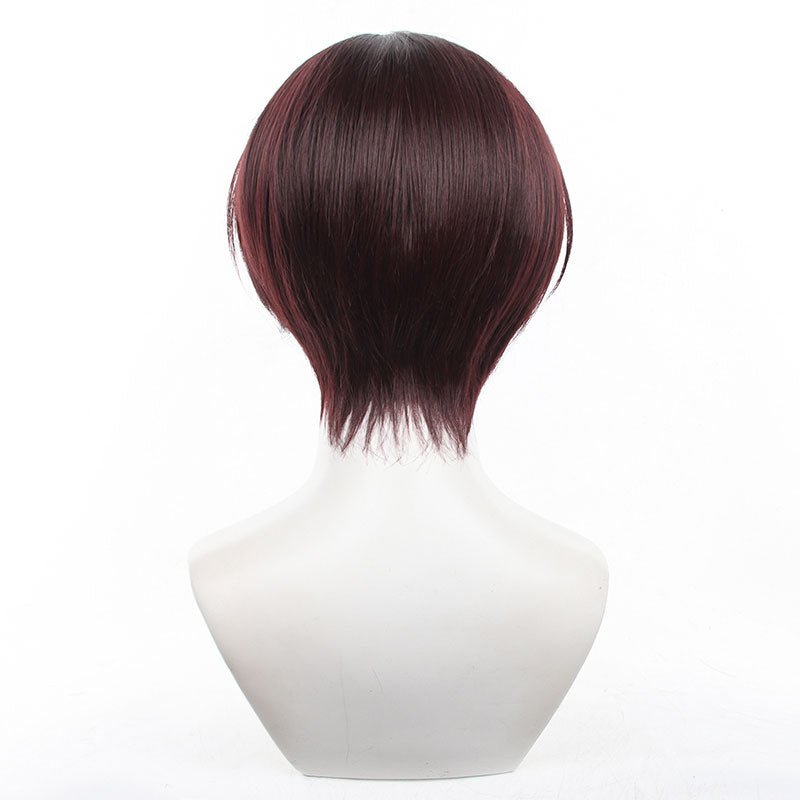 Wind Breaker Hayato Suo Cosplay Wig - lemailwigs