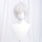 24 Colors 30CM Men Short Cosplay Wigs - lemailwigs
