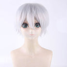 24 Colors 30cm Short Basic Cosplay Wigs - D - lemailwigs