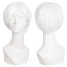 25cm Universal Short Cosplay Wigs - D - lemailwigs