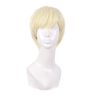 25cm Universal Short Cosplay Wigs - F - lemailwigs