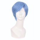 25cm Universal Short Cosplay Wigs - G - lemailwigs