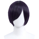 30cm Short Straight Dark Purple General Anime Cosplay Wigs - lemailwigs