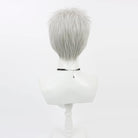 L-emailWigPersona3AkihikoSanadaSilverGrayHalloweenCosplayWig_3