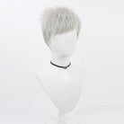 L-emailWigPersona3AkihikoSanadaSilverGrayHalloweenCosplayWig_4