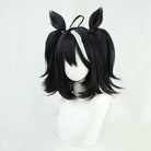 L-emailWigUmamusumePrettyDerbyKitasanBlackDoubleBraidsHalloweenCosplayWig_2