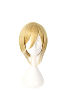 Anime Royal Tutor Heine Reinhardt Cosplay Wig - lemailwigs