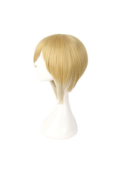 Anime Royal Tutor Heine Reinhardt Cosplay Wig - lemailwigs