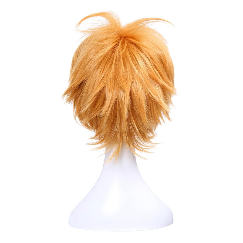Bungou Stray Dogs Junichiro Tanizaki Anime Orange Brown Short Layered Cosplay Wigs - lemailwigs