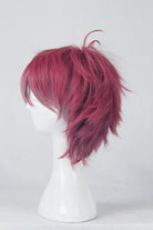 Diabolik Lovers Sakamaki Ayato Dark Wine Red Short Straight Anime Wigs Fluffy Synthetic Cosplay Wigs - lemailwigs