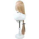 【Early bird price】FGO Fate Aesc the Savior Stage 1 Long Cosplay Wig - lemailwigs