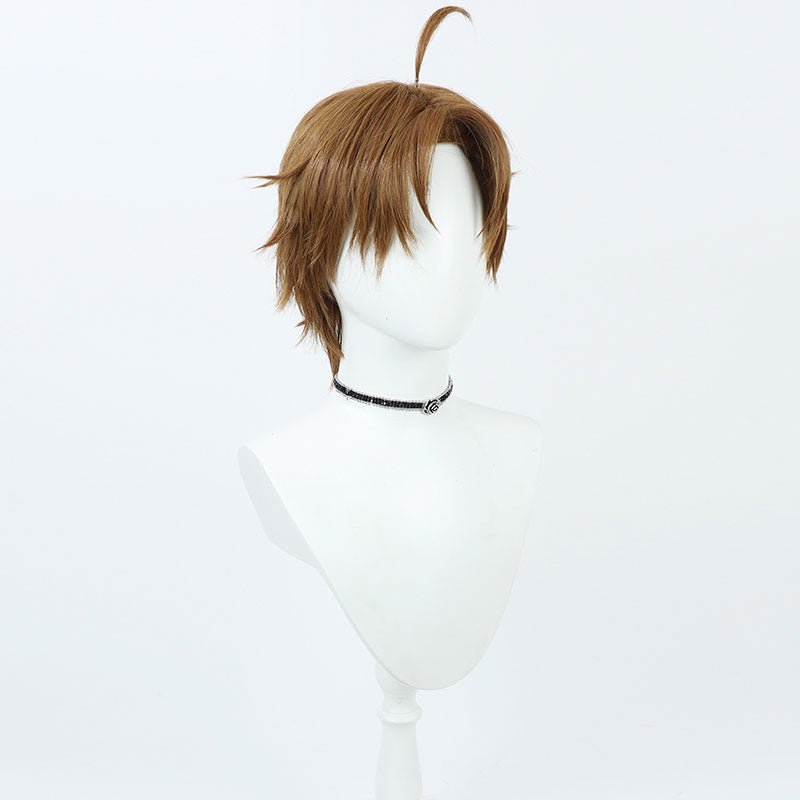 【Early Bird Price】Mushoku Tensei: Jobless Reincarnation Rudeus Greyrat Cosplay Wig - lemailwigs