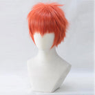 Fate Stay Night Shirou Emiya Red Cosplay Wig - lemailwigs