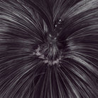 Fragaria Memories Kurode Black Mixed Purple Cosplay Wig - lemailwigs