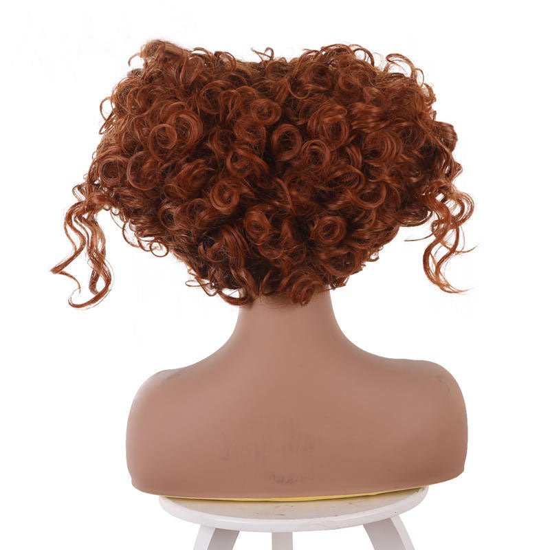 Hocus Pocus 2 Winifred Sanderson Cosplay Wigs - lemailwigs