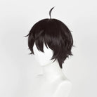 L - email Wig Honkai: Star Rail Dan Heng Dark Brown 30cm Short Halloween Cosplay Wig - lemailwigs