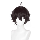 L - email Wig Honkai: Star Rail Dan Heng Dark Brown 30cm Short Halloween Cosplay Wig - lemailwigs