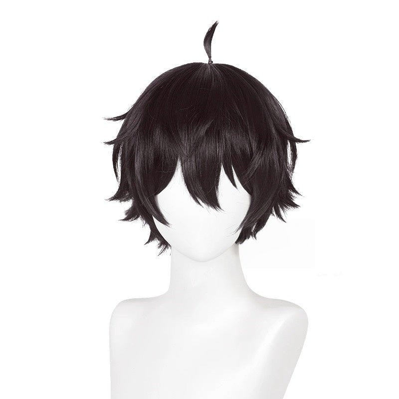 L - email Wig Honkai: Star Rail Dan Heng Dark Brown 30cm Short Halloween Cosplay Wig - lemailwigs