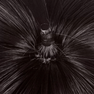 L - email Wig Honkai: Star Rail Dan Heng Dark Brown 30cm Short Halloween Cosplay Wig - lemailwigs