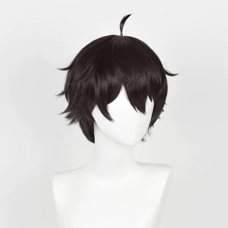L - email Wig Honkai: Star Rail Dan Heng Dark Brown 30cm Short Halloween Cosplay Wig - lemailwigs