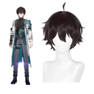 L - email Wig Honkai: Star Rail Dan Heng Dark Brown 30cm Short Halloween Cosplay Wig - lemailwigs
