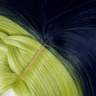 L - email Wig JoJo's Bizarre Adventure Jolyne Cujoh Color Mixing Halloween Cosplay Wig - lemailwigs