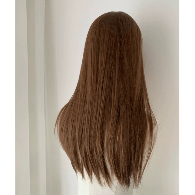 Lemailwig Brown Long Straight Front Lace Wig - lemailwigs