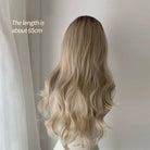 Lemailwig Light Brown Gradient Curly Lace Front 65cm Long Wig - lemailwigs