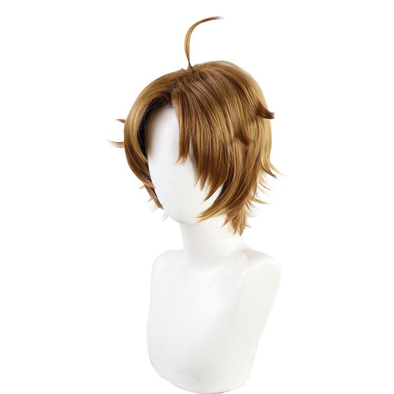 Mushoku Tensei Rudeus Greyrat Multi Color Cosplay Wig - lemailwigs