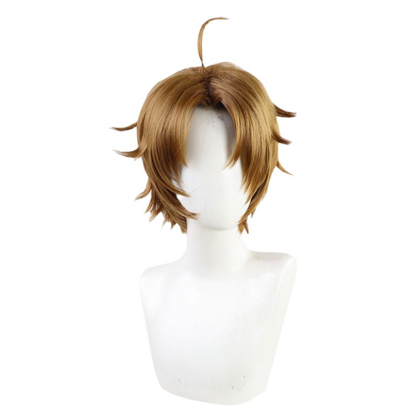 Mushoku Tensei Rudeus Greyrat Multi Color Cosplay Wig - lemailwigs