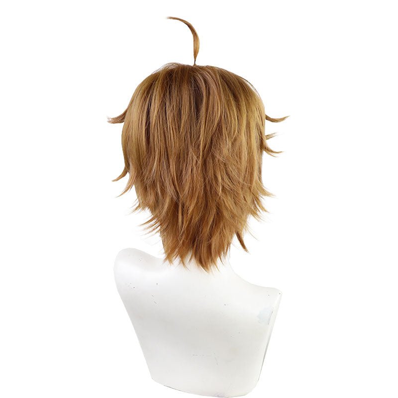 Mushoku Tensei Rudeus Greyrat Multi Color Cosplay Wig - lemailwigs