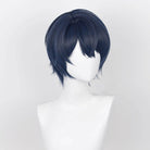 Tears of Themis Marius Von Hagen King Lujinghe Cosplay Wig - lemailwigs