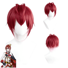 Twisted Wonderland Azul Jade Riddle Lilia Floyd Leona 24 Cosplay Wigs Collection - lemailwigs