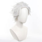 Wind Breaker Hajime Umemiya Cosplay Wig - lemailwigs