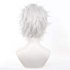 Wind Breaker Hajime Umemiya Cosplay Wig - lemailwigs