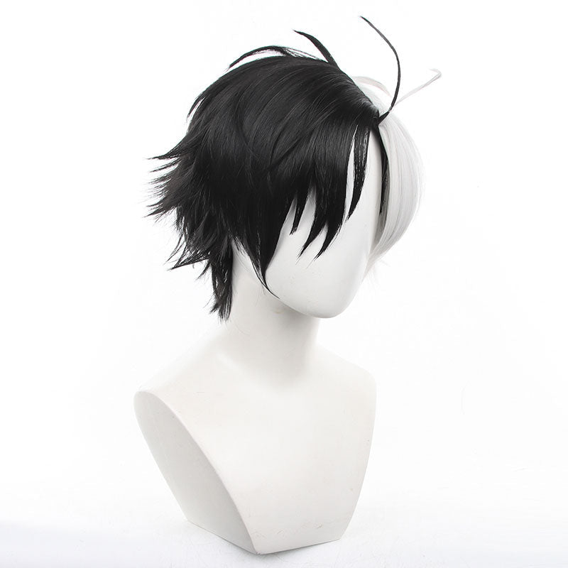 Wind Breaker Haruka Sakura Cosplay Wig - lemailwigs