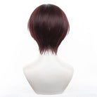 Wind Breaker Hayato Suo Cosplay Wig - lemailwigs