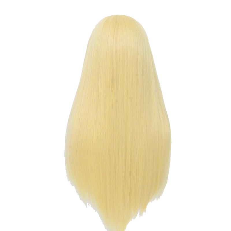 60cm Long Straight Blonde Color General Anime Cosplay Wigs - lemailwigs
