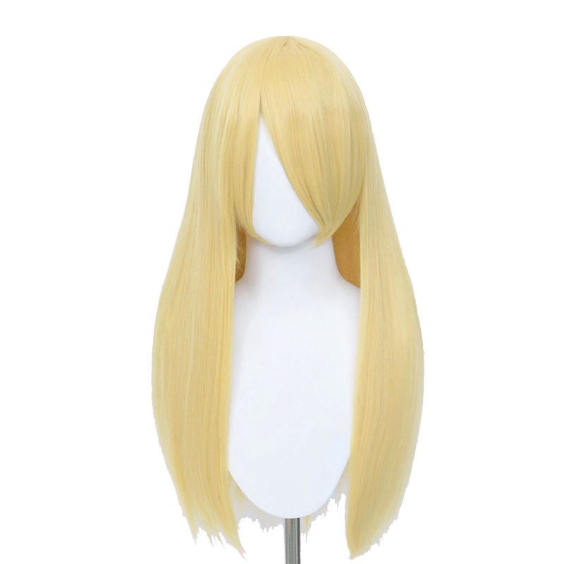 60cm Long Straight Blonde Color General Anime Cosplay Wigs - lemailwigs
