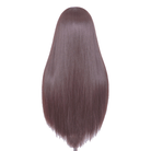 60cm Long Straight Brown Color General Anime Cosplay Wigs - lemailwigs