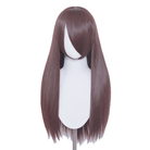 60cm Long Straight Brown Color General Anime Cosplay Wigs - lemailwigs