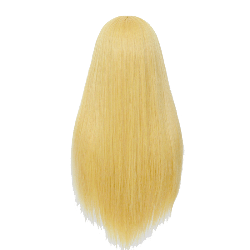 60cm Long Straight Dark Blonde Color General Anime Cosplay Wigs - lemailwigs