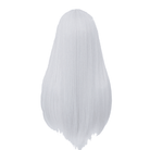 60cm Long Straight Sliver Color General Anime Cosplay Wigs - lemailwigs